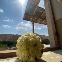 عکاسی فیلمبرداری مراسم عروسی عقد بله‌برون نامزدی