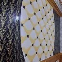 کیوکوشین کاراته