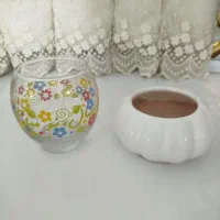 گلدان و تنگ ماهی|گل و گیاه طبیعی|قائم‌شهر, |دیوار