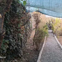 اجاره باغچه ۴۰۰ متری دنج و خصوصی