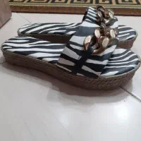 کفش،دمپایی روفرشی