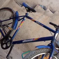 دوچرخه سند دار آساک دماوند|دوچرخه، اسکیت، اسکوتر|تربت جام, جامی|دیوار