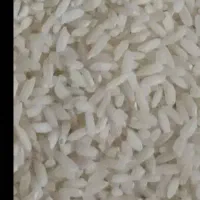 برنج محلی تولکی درجه یک