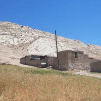 فروش گاوداری ۴۵ راسی