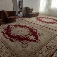 فرش ۳ در ۴ دو عدد در حد نوبسیارتمیز|فرش|گلبهار, شهر جدید گلبهار|دیوار