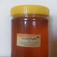عسل /شیره انگور/سرکه سیب/سکنجبین/چهارشیره|خوردنی و آشامیدنی|اصفهان, احمدآباد|دیوار