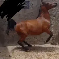 اسب مادیان