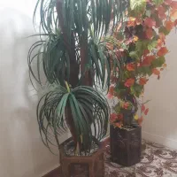 گل مصنوعی|گل مصنوعی|همدان, |دیوار