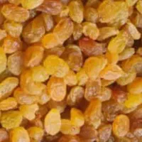 فروش‌کشمش آفتابی‌وتیزابی درجه یک با سورتیگ لیزرینگ