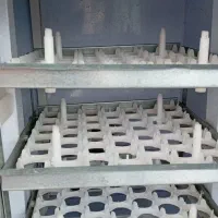 دستگاه جوجه کشی دماوند|لوازم جانبی حیوانات|رشت, پیرسرا|دیوار