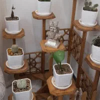 استند گل