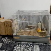 قفس پرنده سالم با تمام وسایلش دو عدد یکی 500یک 300