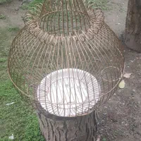 قفس گرد طلایی