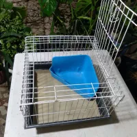 ققفس|لوازم جانبی حیوانات|رشت, علی آباد|دیوار