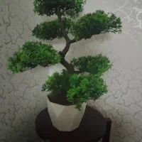 درختچه|گل مصنوعی|بندر امام خمینی, |دیوار