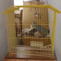 قفس پرنده ۴۰ در ۳۶