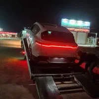 وویا فری 2026 سفید صدفی