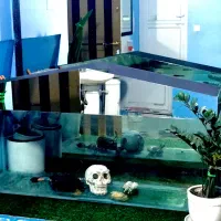 اکواریوم همراه با واتر پمپ و بخاری سالم