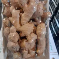 پخش عمده زنجبیل و زرد چوبه به قیمت میدان تره بار|عمده‌فروشی|شیراز, عادل آباد|دیوار