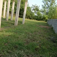 500متر زمین سند تک برگ با پروانه شاخت|فروش زمین و ملک کلنگی|شاندرمن, |دیوار