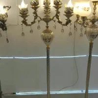 کنار سالنی شاخه ای|چراغ خواب و آباژور|زاهدان, |دیوار