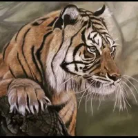 چهره نقاشی تابلو|تابلو، نقاشی، عکس|تهران, ارامنه|دیوار