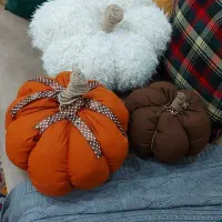 کدوهای پولیشی و پارچه ای پاییزی