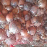 ۲۰پیاز|خوردنی و آشامیدنی|سبزوار, قاضی زاد|دیوار