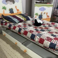 تخت و‌کمد|تخت و صندلی بچه|یزد, |دیوار