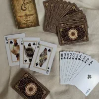 پاسور کوروش و دلار