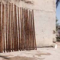 خزران 2موجود|گل و گیاه طبیعی|شادگان, |دیوار