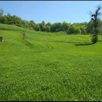 اجاره و رهن کامل منزل مسکونی روستای کوسه