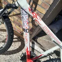 دوچرخه ویوا ۲۶|دوچرخه، اسکیت، اسکوتر|اهواز, ملاشیه|دیوار