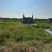 فروش یک هکتار باغ کیوی دارای 500مترمسکونی/تالش|فروش زمین و ملک کلنگی|لیسار, |دیوار