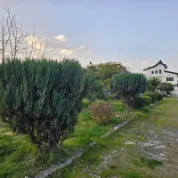 سه-قطعه-زمین-270-متری-داخل-شهرک-امیر-جهت-مشارکت