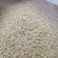 خورده برنج چمپا تمیز تمیز کیلو ۲۲۰