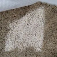 برنج طارم هاشمی رشت