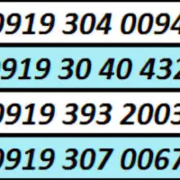 0919.3070067