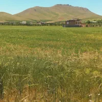 زمین خام مناسب انواع کسب کار وتفریحی در حصار