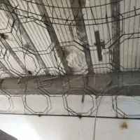 جوشکاری و رابیتس کاری|خدمات پیشه و مهارت|تنکابن, |دیوار