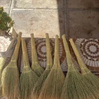 جاروولوبیا