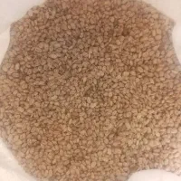 لوبیا امسال|خوردنی و آشامیدنی|دره شهر, |دیوار