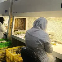 استخدام نیروی خانم آزمایشگاه