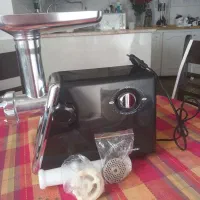 چرخ گوشت گاسونیک