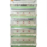 قفس بلدرچین