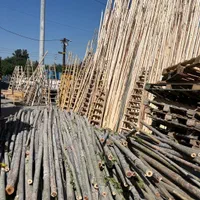 چوب پرچمی،قیم نهال،دسته جارو، دسته طی