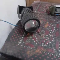 لامپ های الژنی|لامپ و چراغ|بجنورد, |دیوار