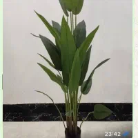 پخش درخت و درختچه مصنوعی