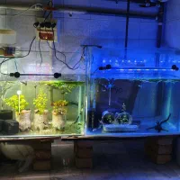 معاوضه و فروش.