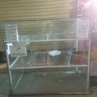 مغازه کلوچه پزی|فروشگاه و مغازه|بابل, |دیوار